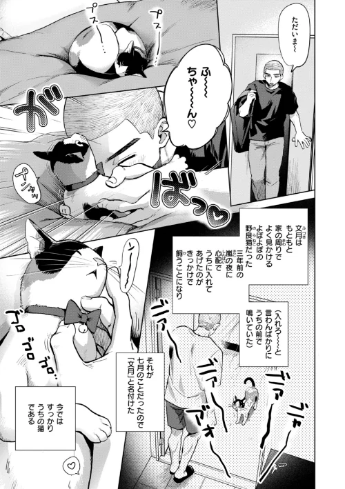 【エロ漫画】めちゃくちゃになろうよ/2025-04-03発売 試し読みサンプル 35ページ目